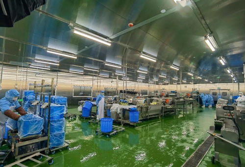 配送服務(wù)背后的質(zhì)量堅(jiān)守 七道檢測下的2.6萬名師生體驗(yàn)