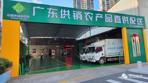 奮戰(zhàn)百千萬工程 廣東供銷農(nóng)產(chǎn)品直供配送臺(tái)山服務(wù)中心揭牌成立